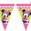 Minnie Mouse Flag Banner