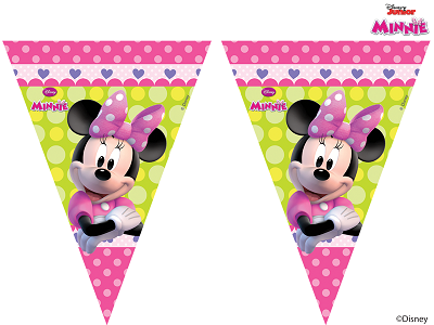 Minnie Mouse Flag Banner