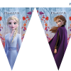 Frozen2 Flag Banner