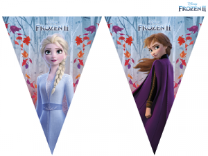 Frozen2 Flag Banner