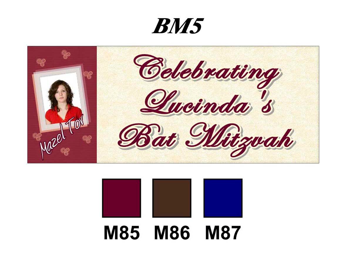 Happy Bat Mitzvah Banner BM5