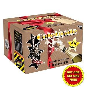 Celebrate Single Ignition Fireworks