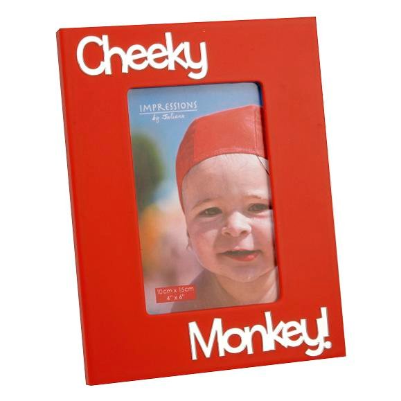 Cheeky Monkey Photo Frame