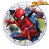 Single Bubble SpiderMan